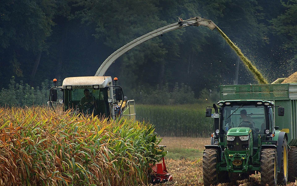 Modernized Agriculture & Food Processing