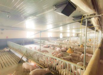 KRIPAL Smart Livestock Automation Project