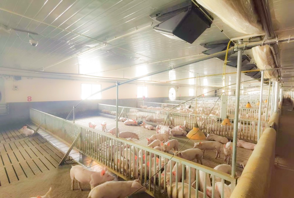 KRIPAL Smart Livestock Automation Project