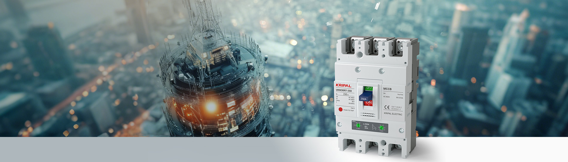 Our Purpose & Strategy