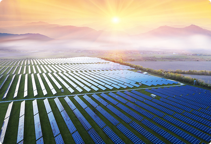 Sustainability Reports