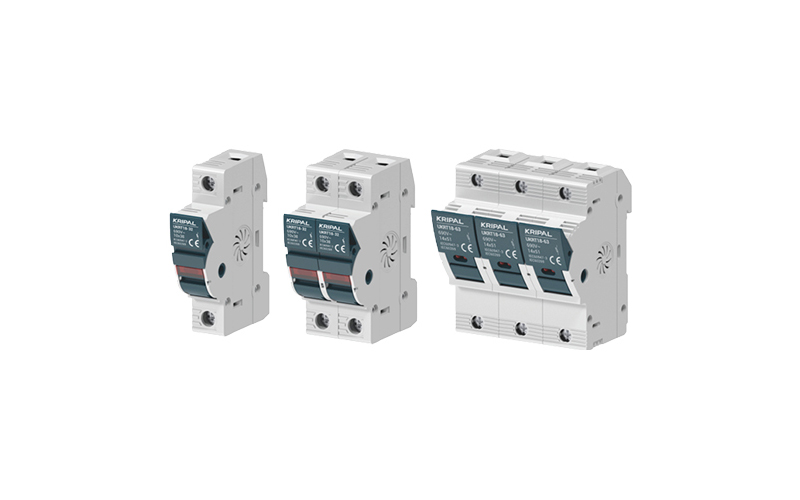 Fuse Holder and Fuse Link