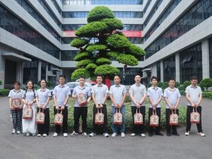 KRIPAL Electric Celebrates Dragon Boat Festival with Employees