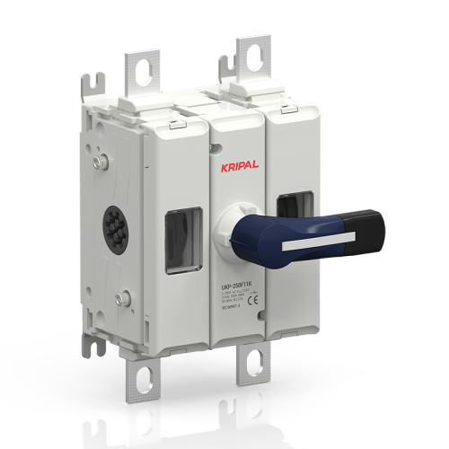 UKP-250F11K 2-Pole 250A Front-Handle AC Switch Disconnector for Industrial Control Panels