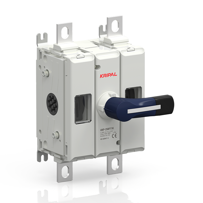 UKP-250F11K 2-Pole 250A Front-Handle AC Switch Disconnector for Industrial Control Panels